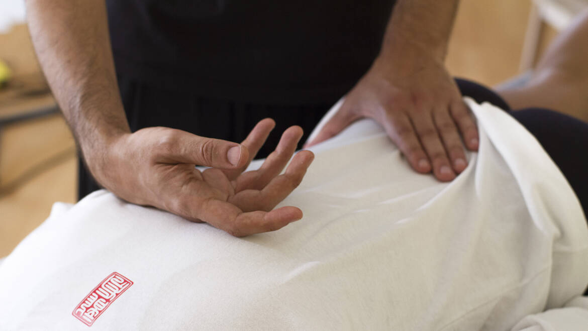 Curso Profesional de Tuina