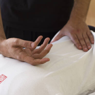 Curso Profesional de Tuina