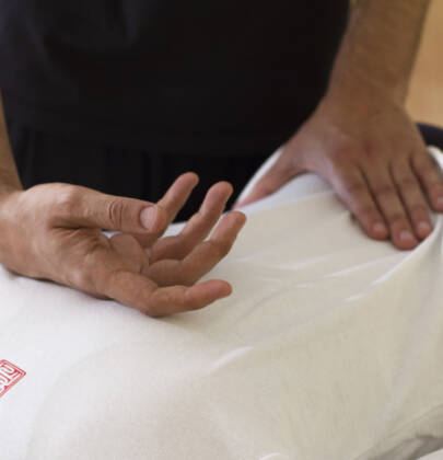 Curso Profesional de Tuina